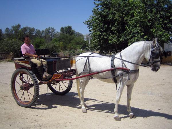 Cortijo De Frias Διαμέρισμα Cabra Εξωτερικό φωτογραφία