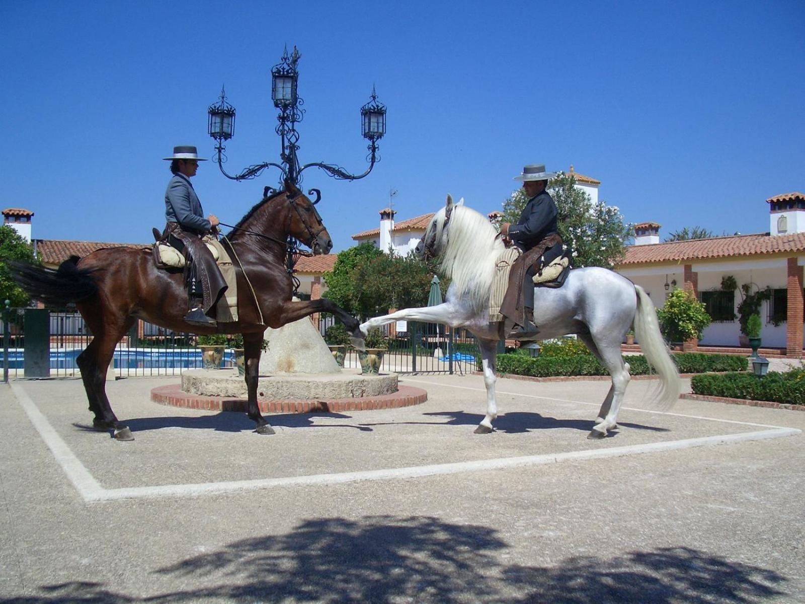 Cortijo De Frias Διαμέρισμα Cabra Εξωτερικό φωτογραφία