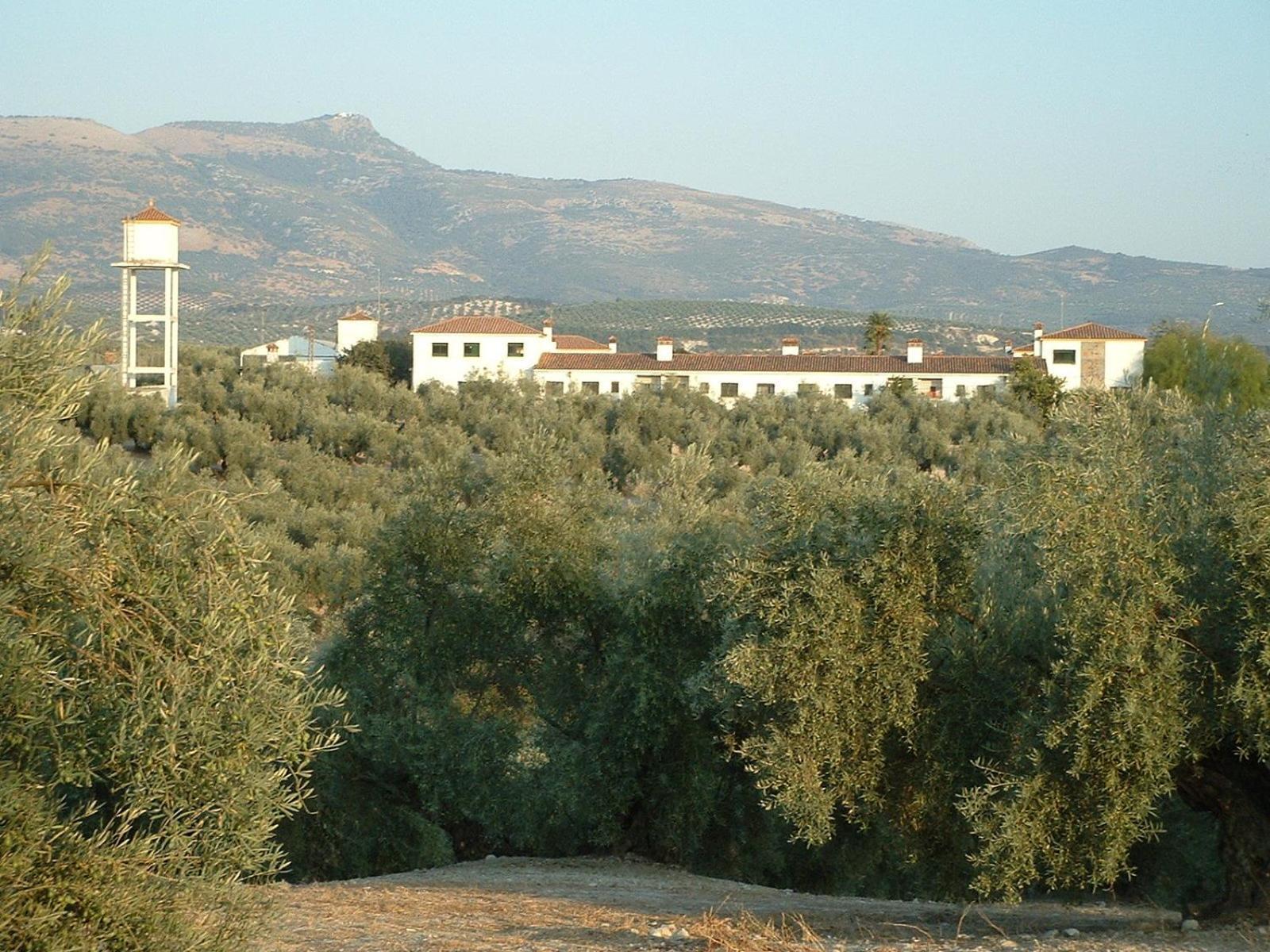Cortijo De Frias Διαμέρισμα Cabra Εξωτερικό φωτογραφία