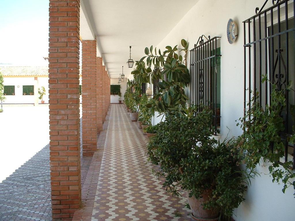 Cortijo De Frias Διαμέρισμα Cabra Δωμάτιο φωτογραφία